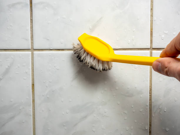  Westwood, CA Mold Removal Pros