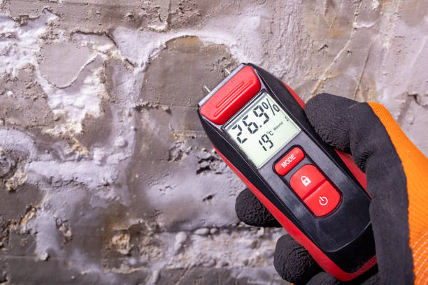 Professional Mold Removal in Westwood, CA