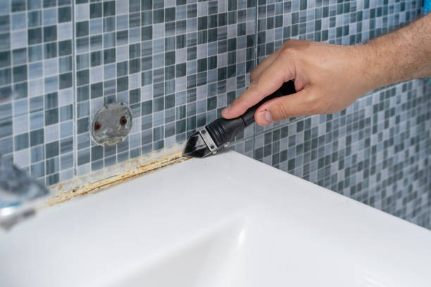 Best Fast Mold Removal  in Westwood, CA