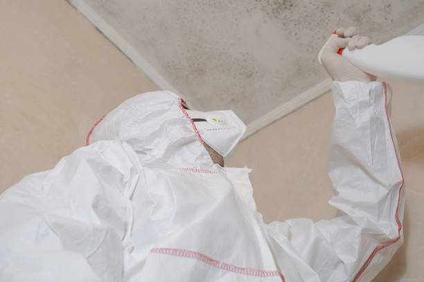 Best Crawl Space Mold Removal  in Westwood, CA