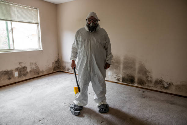 Best Mold Testing  in Westwood, CA